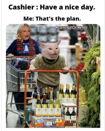 275280226_113183487979545_468402727447669766_n