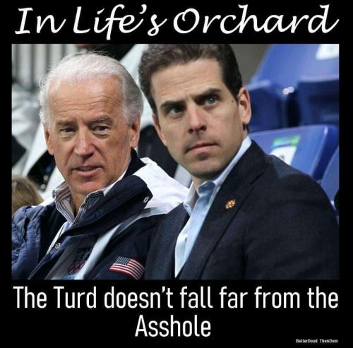 2d707ca3-33dc-42eb-a73a-12e410f223c4