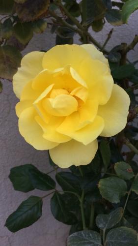 10:24:25 GMT-0500 (CDT)