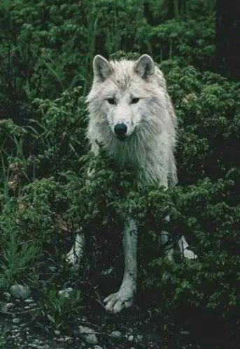 tumblr_0268bf6099f77c3565760d481ed7f4b1_f4f08a29_540