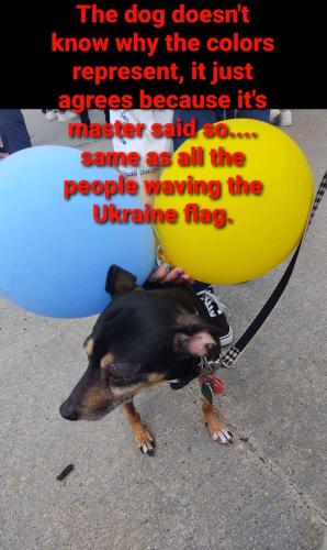 24c2544e-fb27-481c-8792-b05e35ae8349