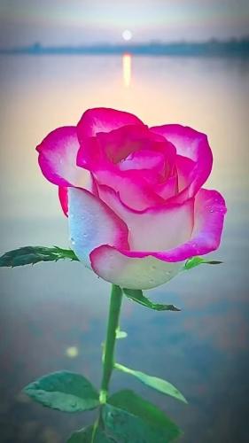 09:12:58 GMT-0500 (CDT)