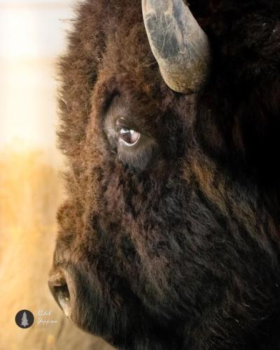 275282881_125680103359804_7745315639231826300_n