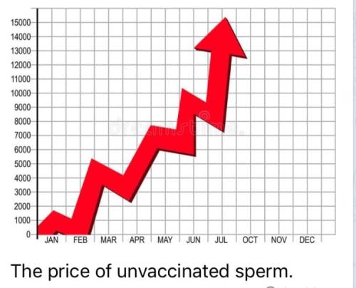 275812526_373452394600488_5690201495798876482_n