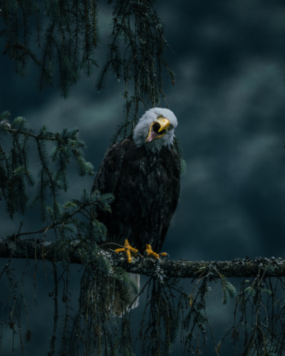 276998029_4658515370944846_1891937138956056345_n