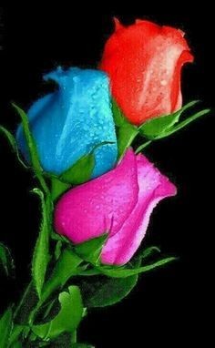 20:23:49 GMT-0500 (CDT)