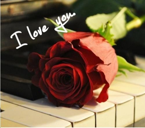 Screenshot_20220206-090405_Sweet Love Messages