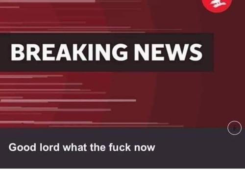 213d30be-b41d-4266-9edf-b315fdf25a23