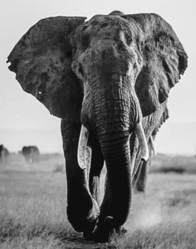 tumblr_bd89ff69883b133b364c3bbb3538727e_5c4669b5_540