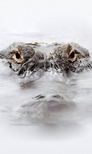 13177846_10204624604575229_2866172078319534741_n