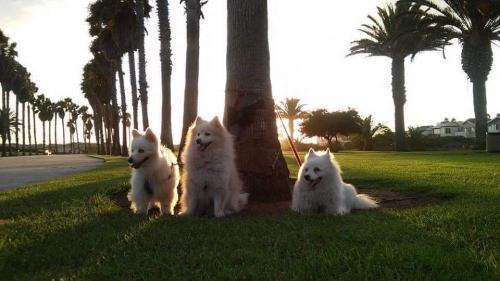 FB_IMG_1646799821403