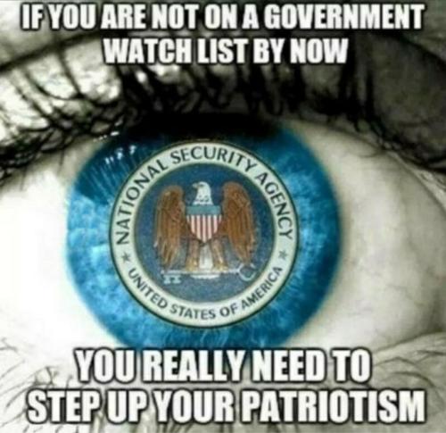 patriots03