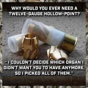 twelve gauge hollow points00