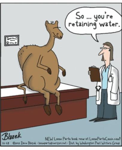 275931392_970887540230217_142554716435409467_n