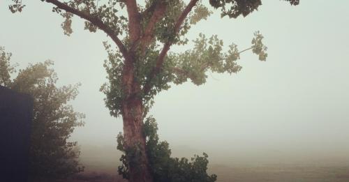 e95c333f-c3d6-41ac-929d-001ecc32aa06