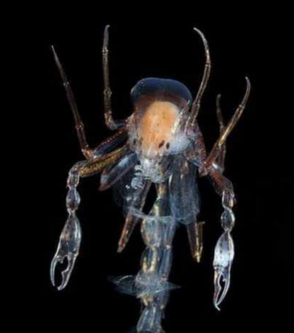 Screen Shot 2021-07-27 at 12.53.02 PM