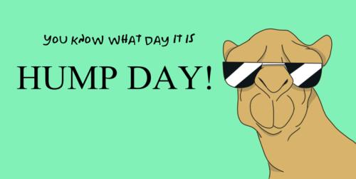1Hump Day