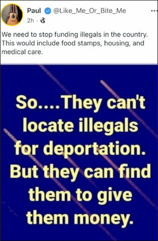 illegal immigration281