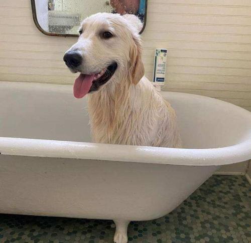 296db2ac-53ae-434d-891a-0ac4eac12a86