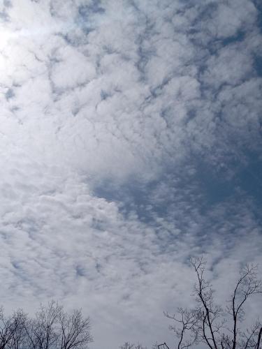 9a0b9c56-b340-4ad6-8db9-c73123e8c66d