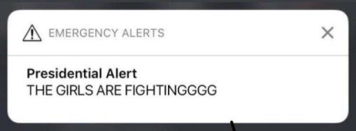 251a1a55-be0e-4765-9eb5-aec4d5e9d6e8