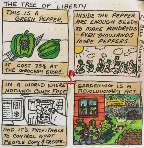 279485547_401720945106966_4518808967539606363_n