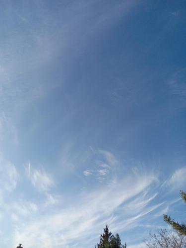 af8e1c86-0a7d-4436-ac1e-989f41cdb09c