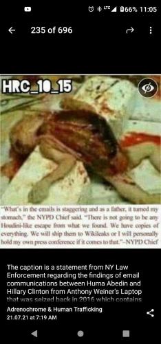 bbf75a8d-5ec3-49f2-8b1f-1d767dee714e