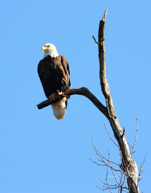 47394edd-9041-48e2-8031-665f9dbcceac