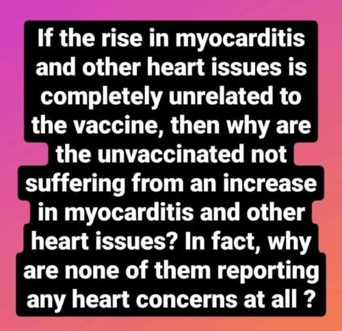 e393b3b9-1b6f-45e0-b3b3-35d3ccf67cf1