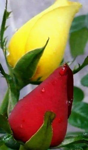 12:43:38 GMT-0500 (CDT)