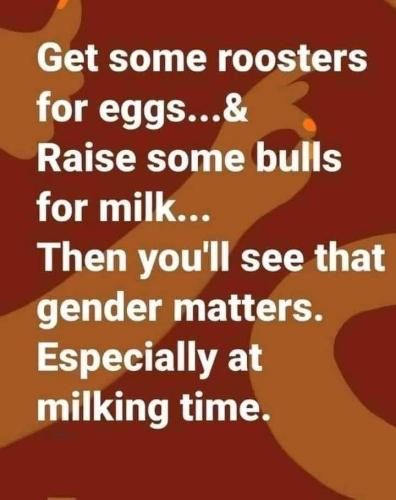 36D4F9A7-47EB-480E-A46C-9AD3FFF3CF96