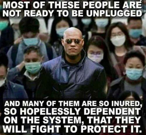 5bec88da-f8d7-412e-8780-46cb6bffbf06