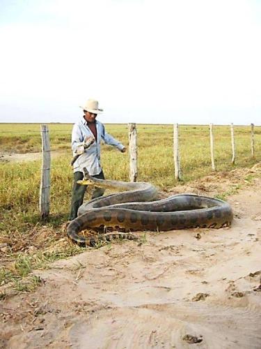 13177301_10204599644311238_4918233224747522458_n