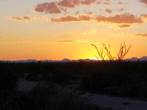 487297d8-6976-4b9f-9d72-4530a2eacfa7