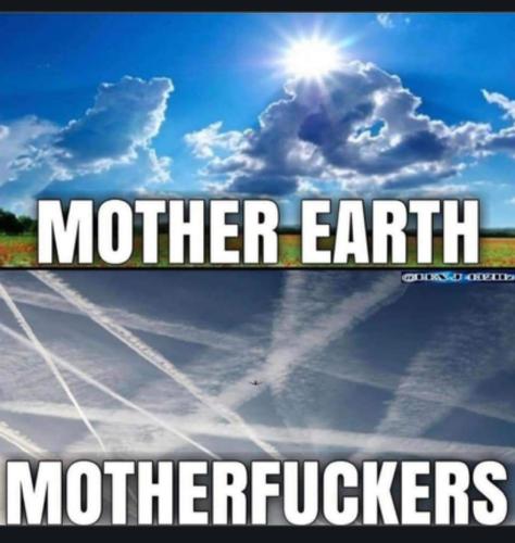 287db0da-aa84-4f64-920e-554004aba23c