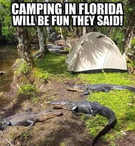 278330252_1366939373778315_2873885322012240883_n