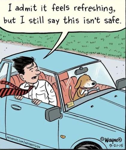 278040076_5206205826069004_803538351756524411_n