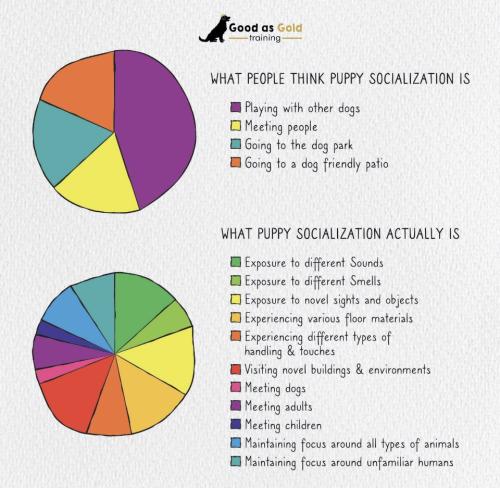 12:43:07 GMT-0700 (PDT).image