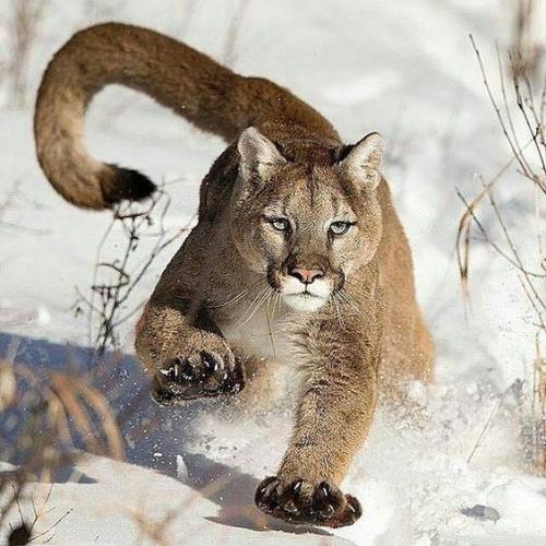 14102511_10205233414475096_20196528115863321_n