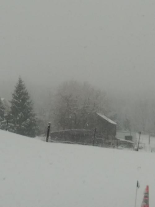 6ded21ff-b999-46eb-ab82-a6df134f1775