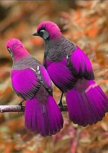 278105996_1075020736689316_447734958847794280_n