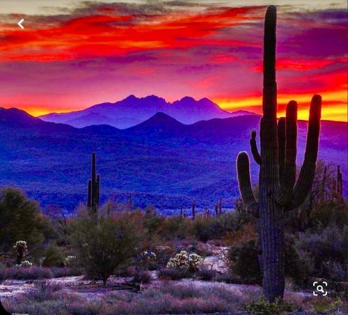 B5D5CBEB-F55C-4328-8704-285238A2013F