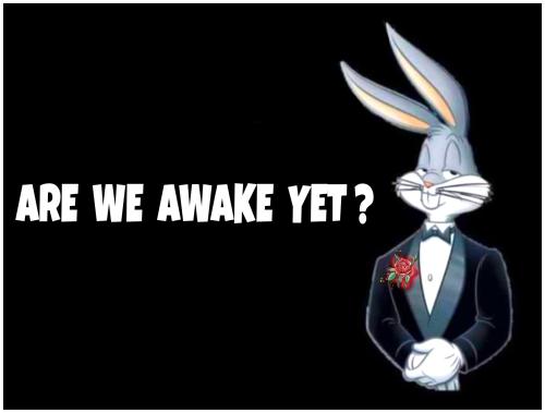 PicsArt_12-18-12.56.18