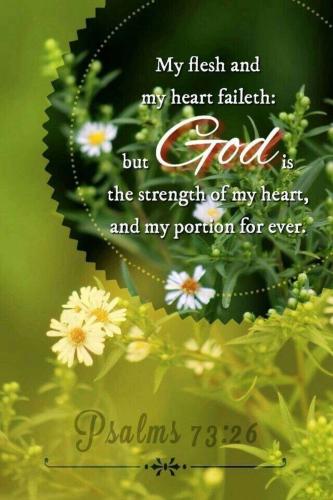 6fa1ad81-f6a9-470d-9530-75baaa107b04