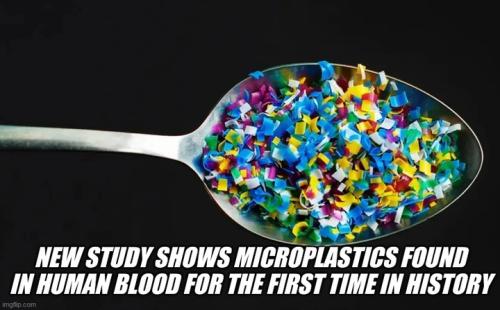 Microplastics 1