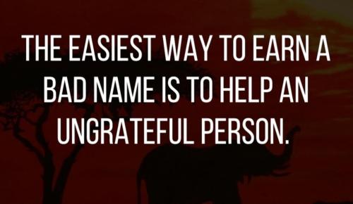 f0bb978b-eb6f-4076-afd2-527d33c8c141