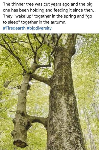 FB_IMG_1637981422122