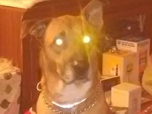 8b578ee4-c497-4c42-9743-0cf810bcbcc9