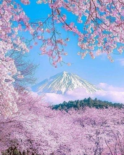 277554734_519677122861628_4075932158863346587_n